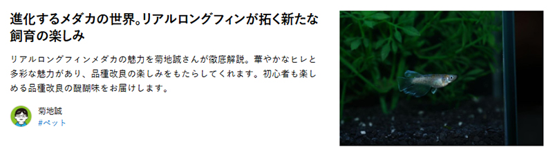 となりのカインズさん「進化するメダカの世界。リアルロングフィンが拓く新たな飼育の楽しみ」